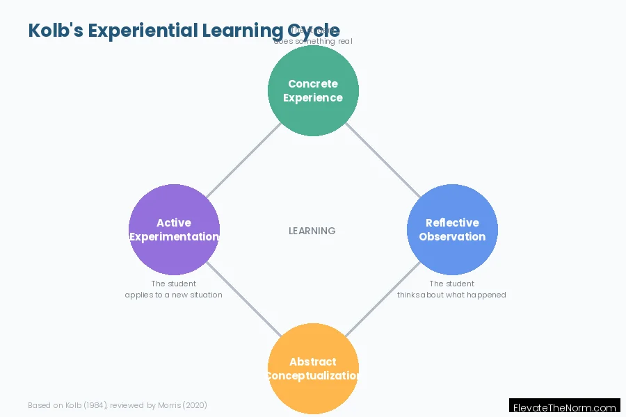 Kolb's four-stage experiential learning cycle showing concrete experience, reflective observation, abstract conceptualization, and active experimentation
