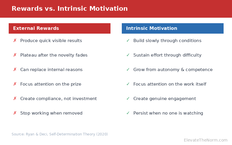 Comparison of extrinsic rewards versus intrinsic motivation showing how control-based rewards undermine student engagement