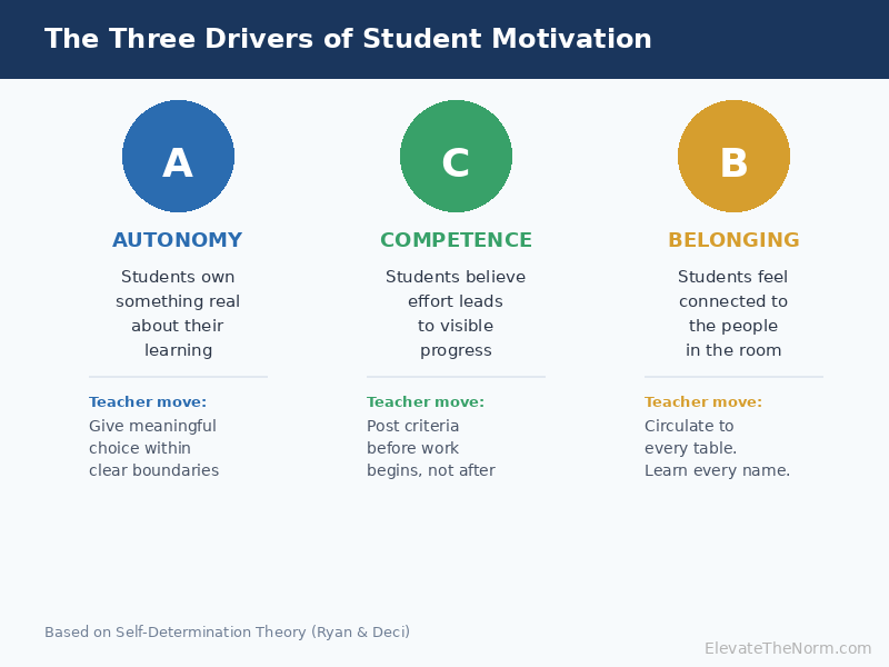 Three drivers of student motivation — autonomy, competence, and relatedness — based on self-determination theory
