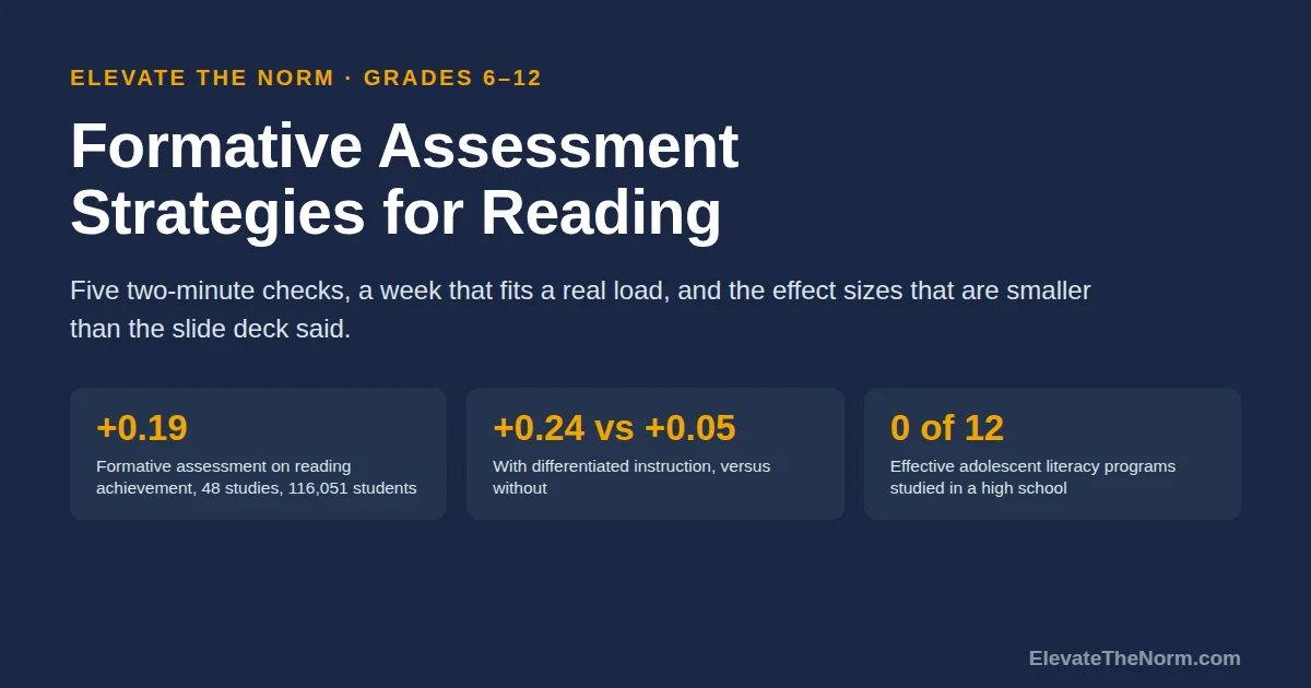 Title card reading Formative Assessment Strategies for Reading with three statistics: plus 0.19 effect across 48 studies and 116,051 students, plus 0.24 versus plus 0.05 with and without differentiated instruction, and zero of twelve effective adolescent literacy programs studied in a high school