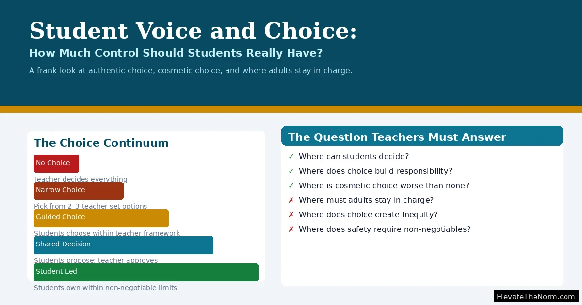 Illustrated header for the article on student voice and choice showing a five-level continuum from no choice to student-led decision-making with key questions teachers must answer