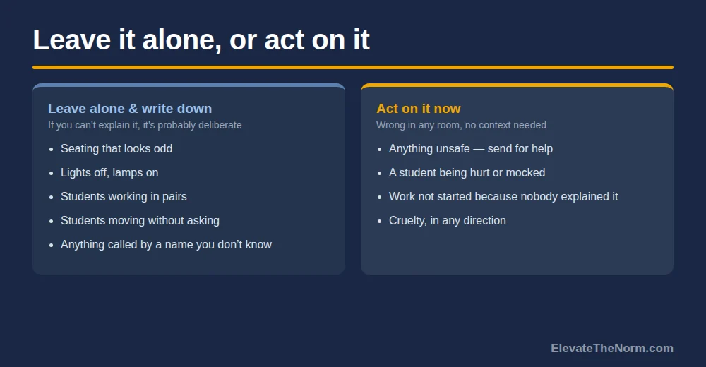 Two-column comparison of classroom things a substitute should leave alone and write down beside things that require immediate action