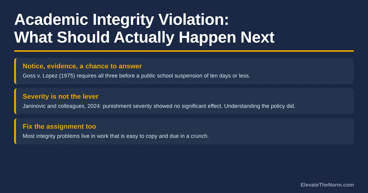 Title card reading Academic Integrity Violation: What Should Actually Happen Next, with three summary points on due process, punishment severity and assignment design