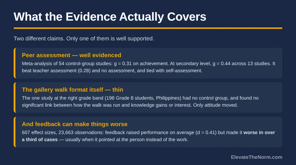 Three-part evidence summary comparing well-evidenced peer assessment at g equals 0.31 overall and 0.44 at secondary level, thin evidence for the gallery walk format itself from one Grade 8 study with no control group, and the finding that feedback made performance worse in over a third of cases